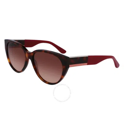 Lacoste Brown Gradient Cat Eye Ladies Sunglasses L985s 240 59