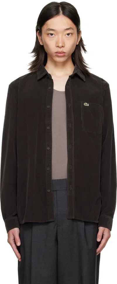 Lacoste Regular Fit Velour Shirt In Brown