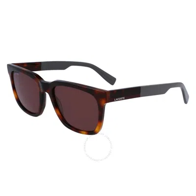 Lacoste Brown Sport Men's Sunglasses L996s 214 54 In Black