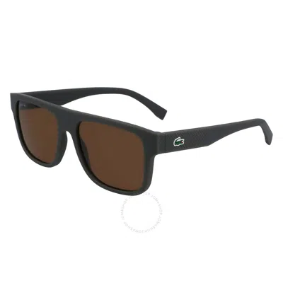 Lacoste Brown Square Men's Sunglasses L6001s 275 56 In Green