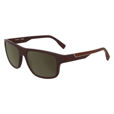 Lacoste Brown Square Men's Sunglasses L6057s 601 57