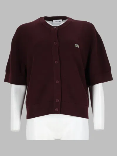 Lacoste In Burgundy