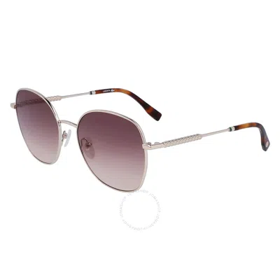 Lacoste Burgundy Gradient Round Ladies Sunglasses L257s 712 56 In Purple
