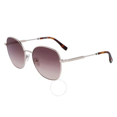 Lacoste Burgundy Gradient Round Ladies Sunglasses L257s 712 56 In Gold