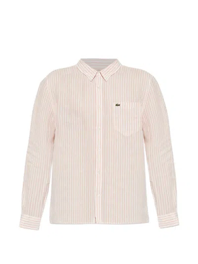 Lacoste Button-down Striped Shirt In Neutral
