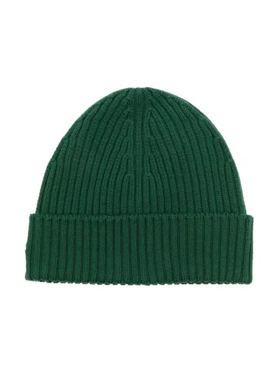 Lacoste Chunky Ribbed-knit Beanie In Green