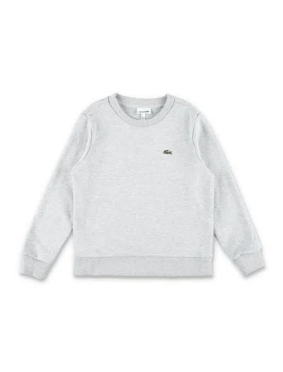 Lacoste Clothing.... Grey In Gray