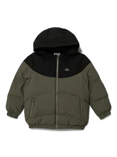 Lacoste Kids' Colour-block Puffer Jacket In Green