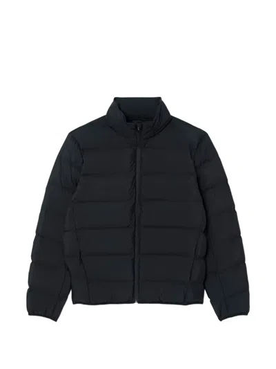 Lacoste Commuter Quilted Puffer Jacket In Black