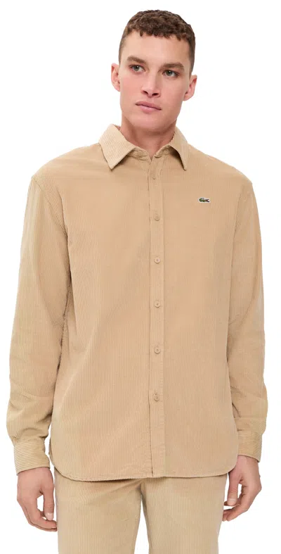 Lacoste Corduroy Button Down Shirt Viennois In Brown
