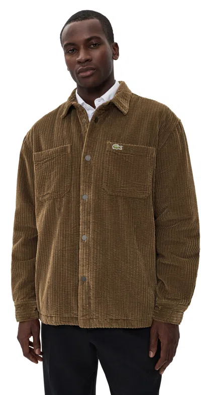 Lacoste Corduroy Padded Jacket Mascara In Brown