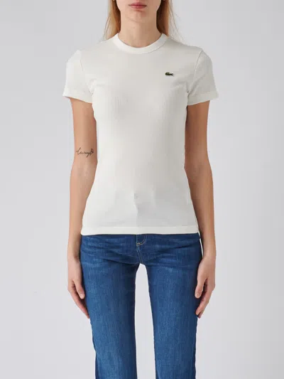 Lacoste Cotton T-shirt In Bianco