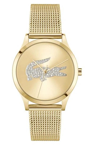 Lacoste Crocodelle Mesh Strap Watch, 36mm In Gold