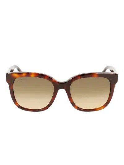 Lacoste Crocodile-effect Square-frame Sunglasses In Brown