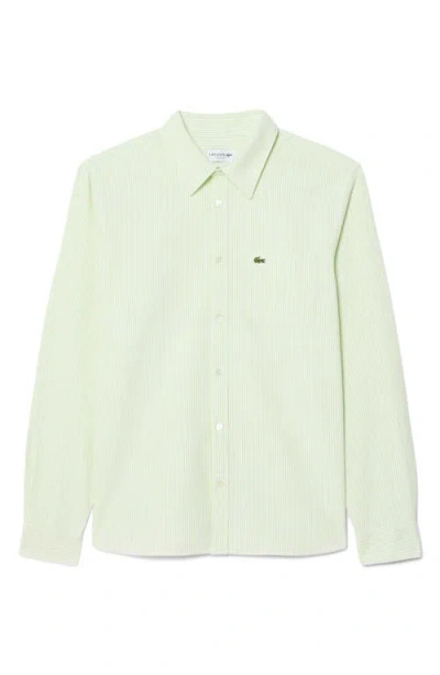 Lacoste Essentials Stripe Cotton Button-up Oxford Shirt In Green