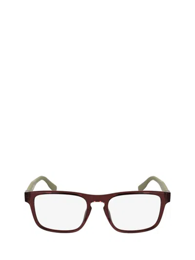 Lacoste Eyeglasses In Brown