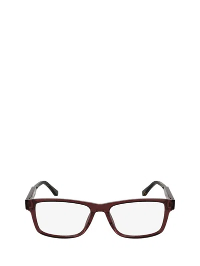 Lacoste Eyeglasses In Brown