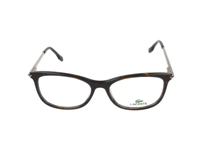 Lacoste Eyeglasses In Brown