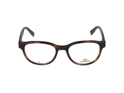 Lacoste Eyeglasses In Brown