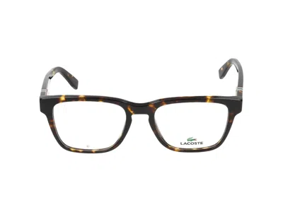 Lacoste Eyeglasses In Brown