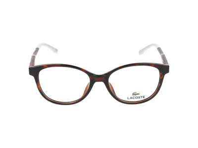 Lacoste Eyeglasses In Brown