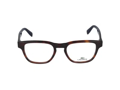 Lacoste Eyeglasses In Brown