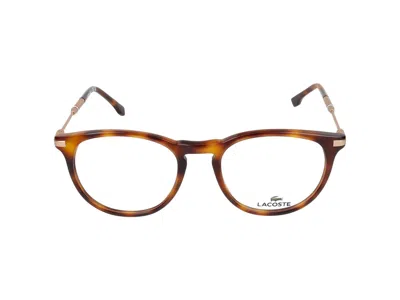 Lacoste Eyeglasses In Brown