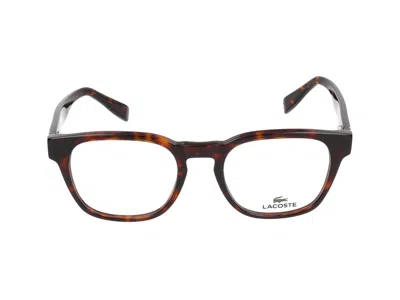 Lacoste Eyeglasses In Brown
