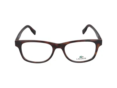 Lacoste Eyeglasses In Brown