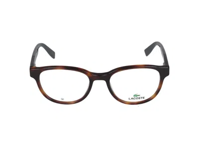 Lacoste Eyeglasses In Brown