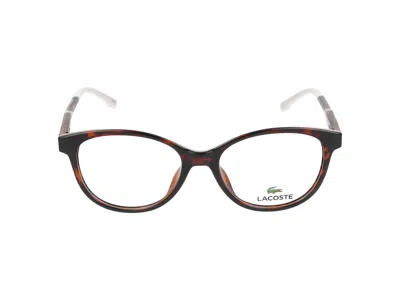 Lacoste Eyeglasses In Brown