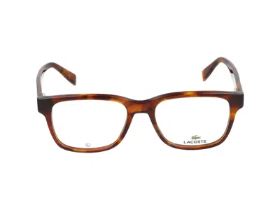 Lacoste Eyeglasses In Havana Blonde