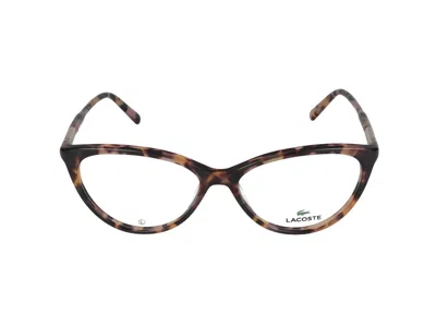 Lacoste Eyeglasses In Havana Rose