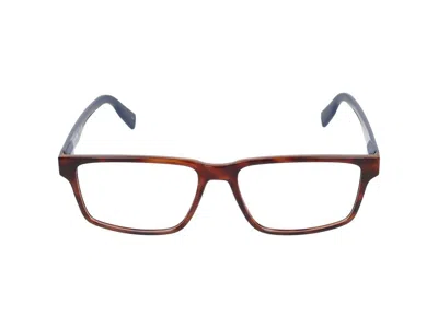Lacoste Eyeglasses  L2897 230 Havana 56/16/145 In Brown