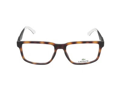 Lacoste Eyeglasses In Matte Havana