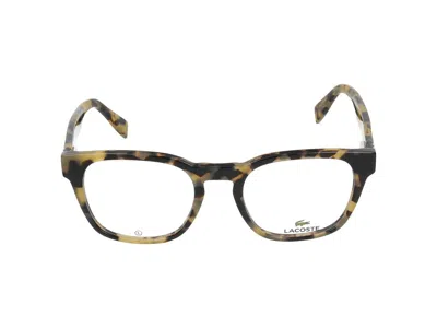 Lacoste Eyeglasses In Tokyo Havana