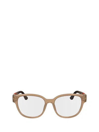 Lacoste Eyeglasses In Transparent Caramel