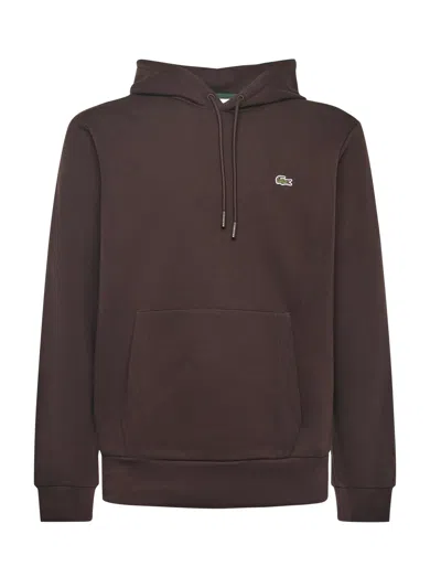 Lacoste Drawstring Hoodie In Brown