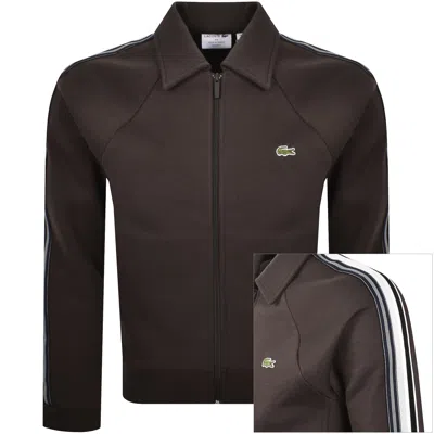 Lacoste Full Zip Collared Tracksuit Top Brown