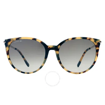 Lacoste Gradient Grey Cat Eye Ladies Sunglasses L928s 214 56 In Multi