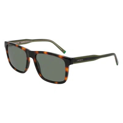 LACOSTE LACOSTE GREEN SQUARE MEN'S SUNGLASSES L6025S 214 56