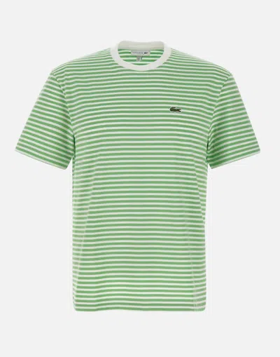 Lacoste Green Striped Crew Neck T Shirt