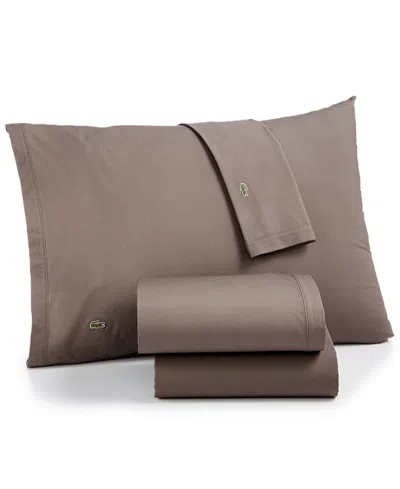 Lacoste Home Solid Cotton Percale Sheet Set, Twin Xl In Gray