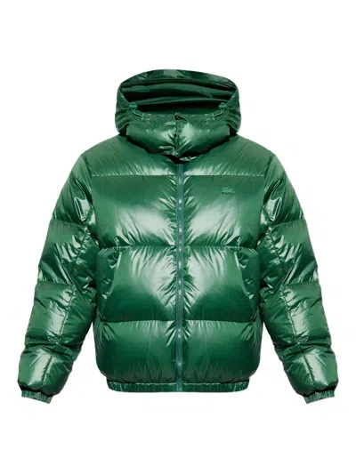 Lacoste Hooded Padded Jacket In Burgundy