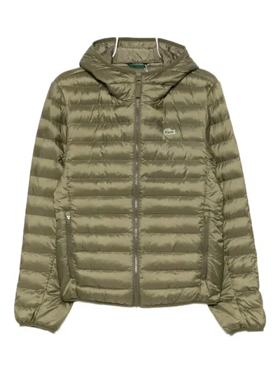 Lacoste Hooded Quilt Jacket In Green