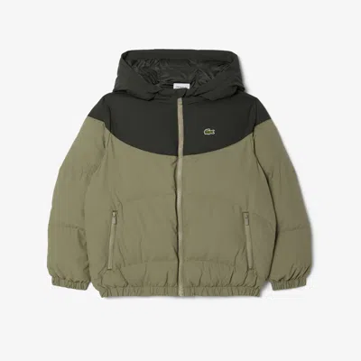 Lacoste Kids' Colorblock Puffer Jacket - 4 Years In Green