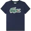 Lacoste T-shirt  Kids Color Marine In Blue