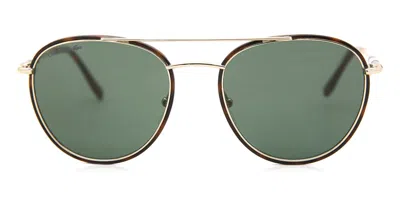 Lacoste L102snd 757 Men's Sunglasses Tortoiseshell Size 51