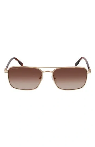 Lacoste L264s 58mm Rectangular Sunglasses In Gold