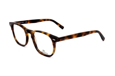 Lacoste Tortoiseshell-effect Square-frame Glasses In Multi